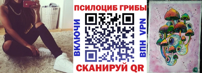 Галлюциногенные грибы GOLDEN TEACHER  Купить  Белый 